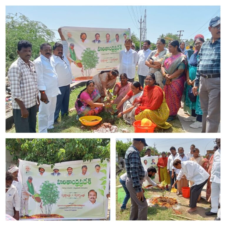 పేట పురపాలక సంఘం ఆధ్వర్యంలో వన మహోత్సవం
