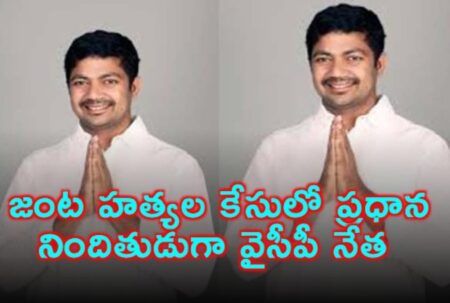 జంట హత్యల కేసులో ప్రధాన నిందితుడుగా వైసీపీ నేత