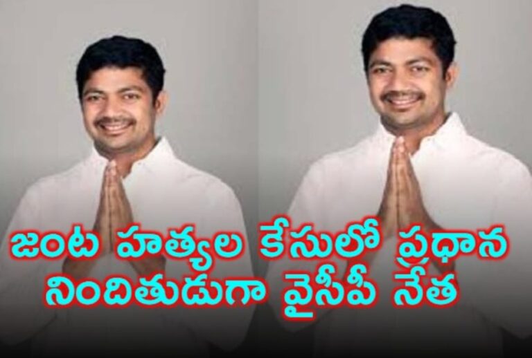 జంట హత్యల కేసులో ప్రధాన నిందితుడుగా వైసీపీ నేత